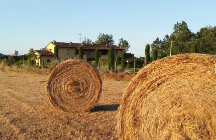 il Chiassetto Agriturismo No Kids - Foto 55