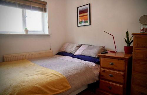 Ty Marlyn - Photo 20