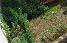 Casa Imbé com piscina 4 quartos - Foto 16