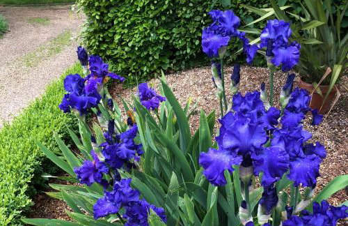 The Hen House - Foto 19