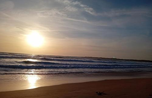 A PINTEGA DAS DUNAS - Foto 42