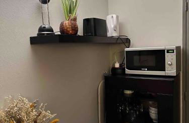 Studio 24 m2 - Classé 2 étoiles - LA MONGIE TOURMALET - Pied des Pistes - Balcon Plein Sud - Parking Public - Foto 11