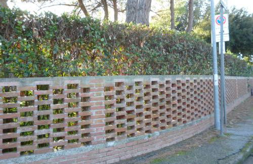 il geranio - Foto 40