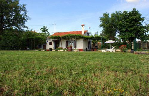 HOUSE VIOLETA - Foto 12