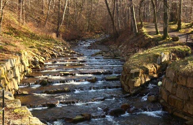 Apartment in Harz With Terrace and Fireplace - Photo 37