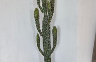 La Casa De Sandalio - Foto 14