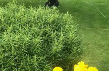 RIVER RETREAT- near Holloway U, Thorpe Park and Heathrow airport - Foto 50