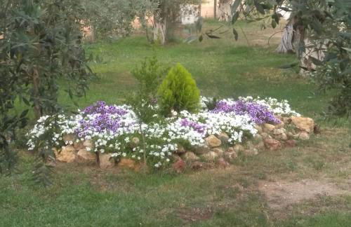 Sunray Separate Villa - Photo 29