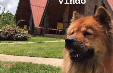 Chalés Flor do Caparaó em Patrimonio da Penha - Foto 49