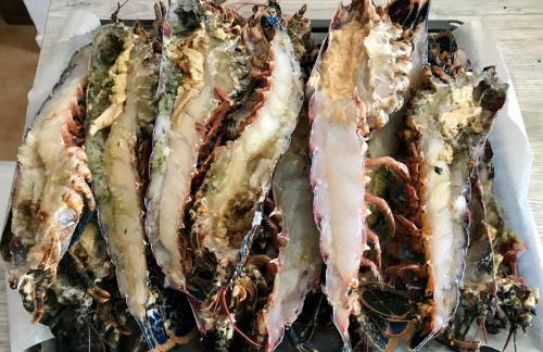 Le Cabanon - Foto 15