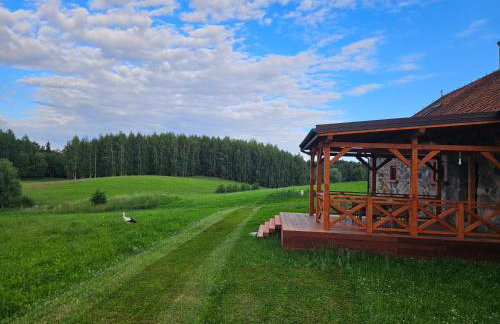 Siedlisko Mazury II - Foto 10