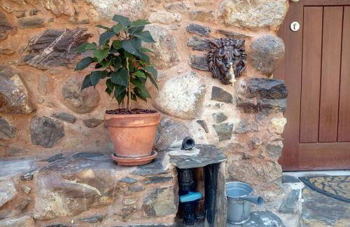 REFÚGIO DO RAPOSO/CASA VEGA - Foto 43