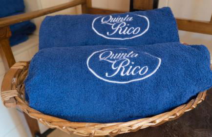 Quinta Rico - Photo 37