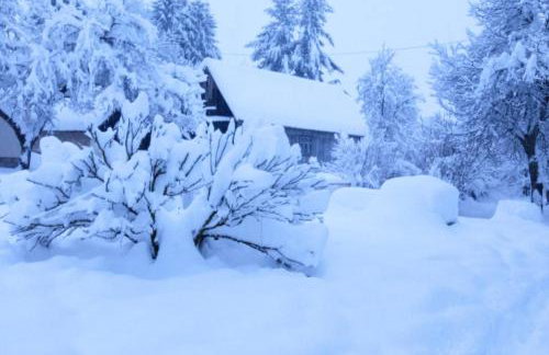Apartments with parking space Plaski, Velebit - 21935 - Photo 9