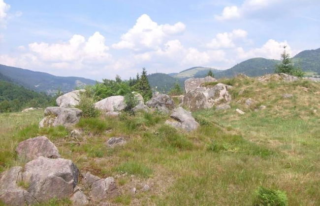 Nice Chalet With Dishwasher, in the High Vosges - Photo 56