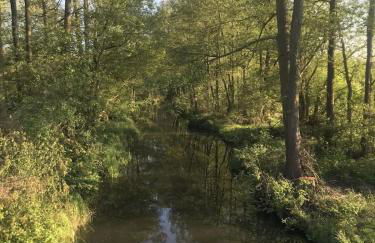 Ferienwohnung auf dem Gemüsehof an der Spree - Foto 10