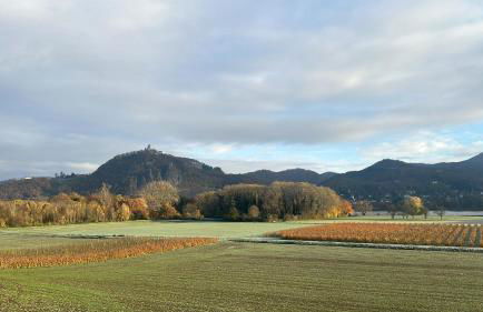 Apartment am Rhein - Foto 10