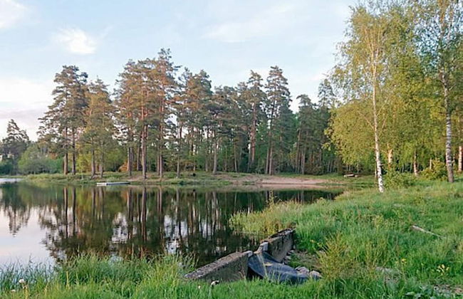 6 Person Holiday Home in Braas - Foto 6