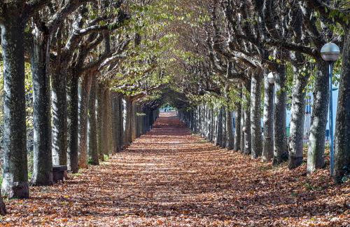 Ca la Xesca - Foto 22