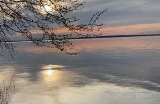 Zum Waldblick - Foto 46