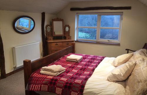 Maes Madog Cottages - Foto 49