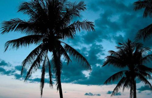 Bay Oaks A Ground Floor - Foto 76