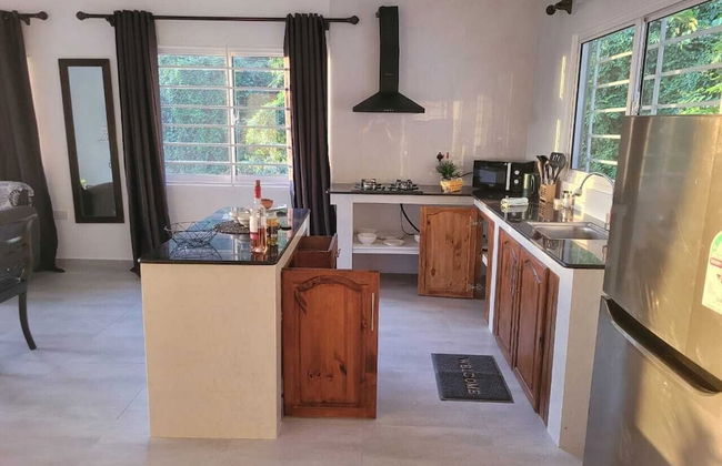 Wild Vanilla Apartment - Photo 12