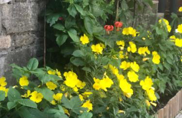 Πατρικό ολόκληρος ξενώνας entire stone guesthouse - Foto 48