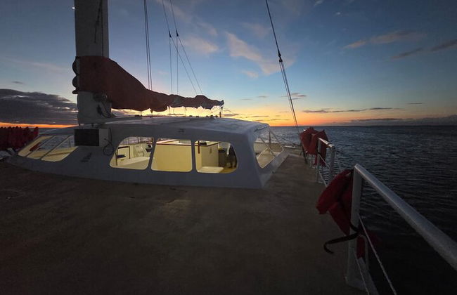 Katamaran-Kreuzfahrt nach Bahia de las Aguilas - Foto 15