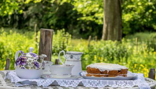 The Old Apple Shed cosy heated cottage in a meadow close to the charming village of Bethersden - Foto 4