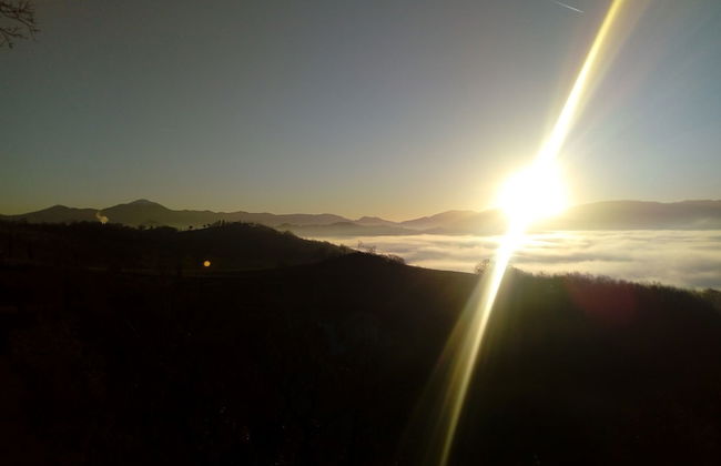 Agriturismo Il Beccafico Alpaca - Photo 32