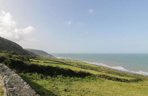 Dysynni Pod - Foto 17