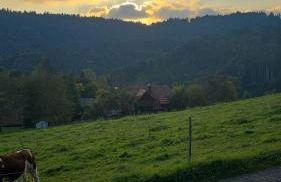 Haus Panorama mit Alpenblick - Foto 37
