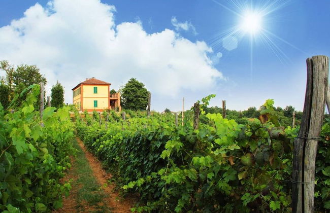 Cascina Desderi - Foto 26