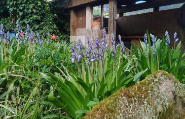 Azuria Schwarzwald Loft - Foto 41