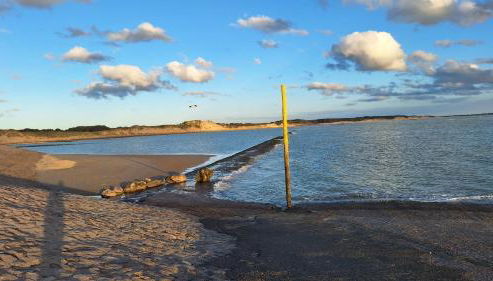 LES COQUILLAGES, 2 salles de bains, lits faits et tout à pied - Foto 3