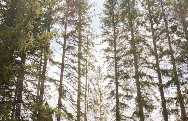 A Frame Club - Foto 37