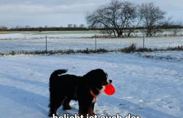 Ferienhaus Kömhuus - Photo 26