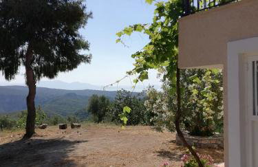 Olea Escape Villa in an Olive Estate - Foto 72