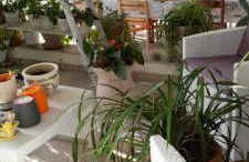 A casa di Sandra, costa dei Trabocchi - Foto 16