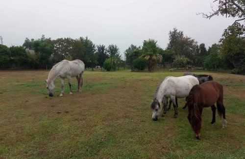 Casa de Sta Comba - Foto 8