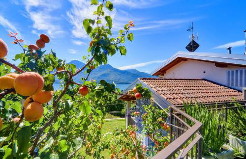 Apartment Rosa Dei Venti - Foto 62