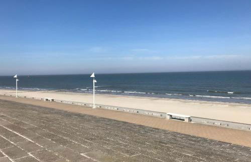 Dünenrose am Nordstrand - Foto 17