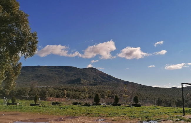 Cortijo Vizconde - Photo 59