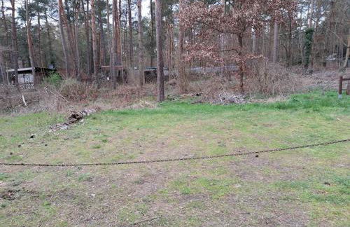 gemütlicher Bungalow am Rand der Dübener Heide - Foto 14