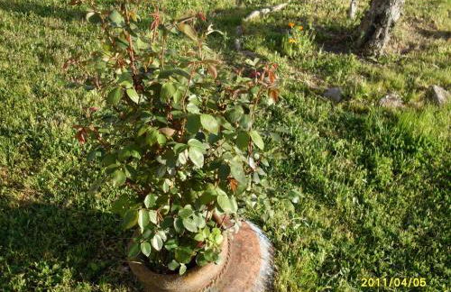 Casa Rural Amelia - Foto 37