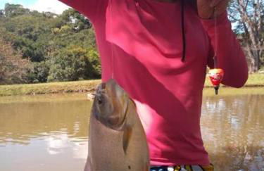 Natureza, paz no sítio - Foto 18