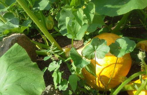 Gutshaus Buberow - Haupthaus - für Seminare & Gruppen - Foto 32