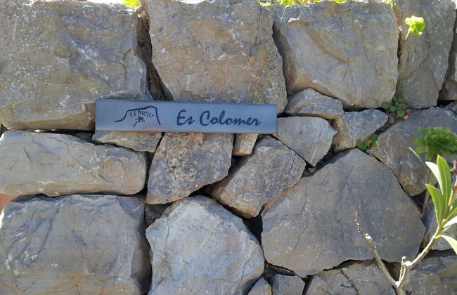 Agroturisme Es Picot - Photo 23