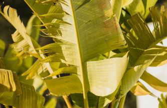 Casa Zita Mar - Ibiza style villa, near the beach of Cala Llonga and with fantastic sunset views - Foto 17